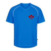 Image for color: royal blue
